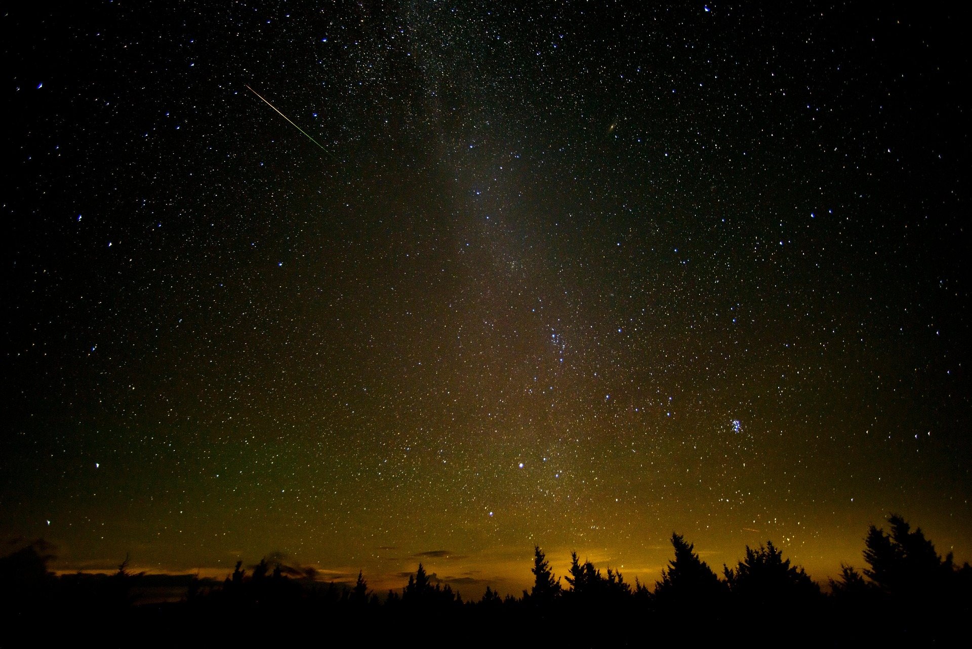 The Milky Way and a meteor over a dark treeline